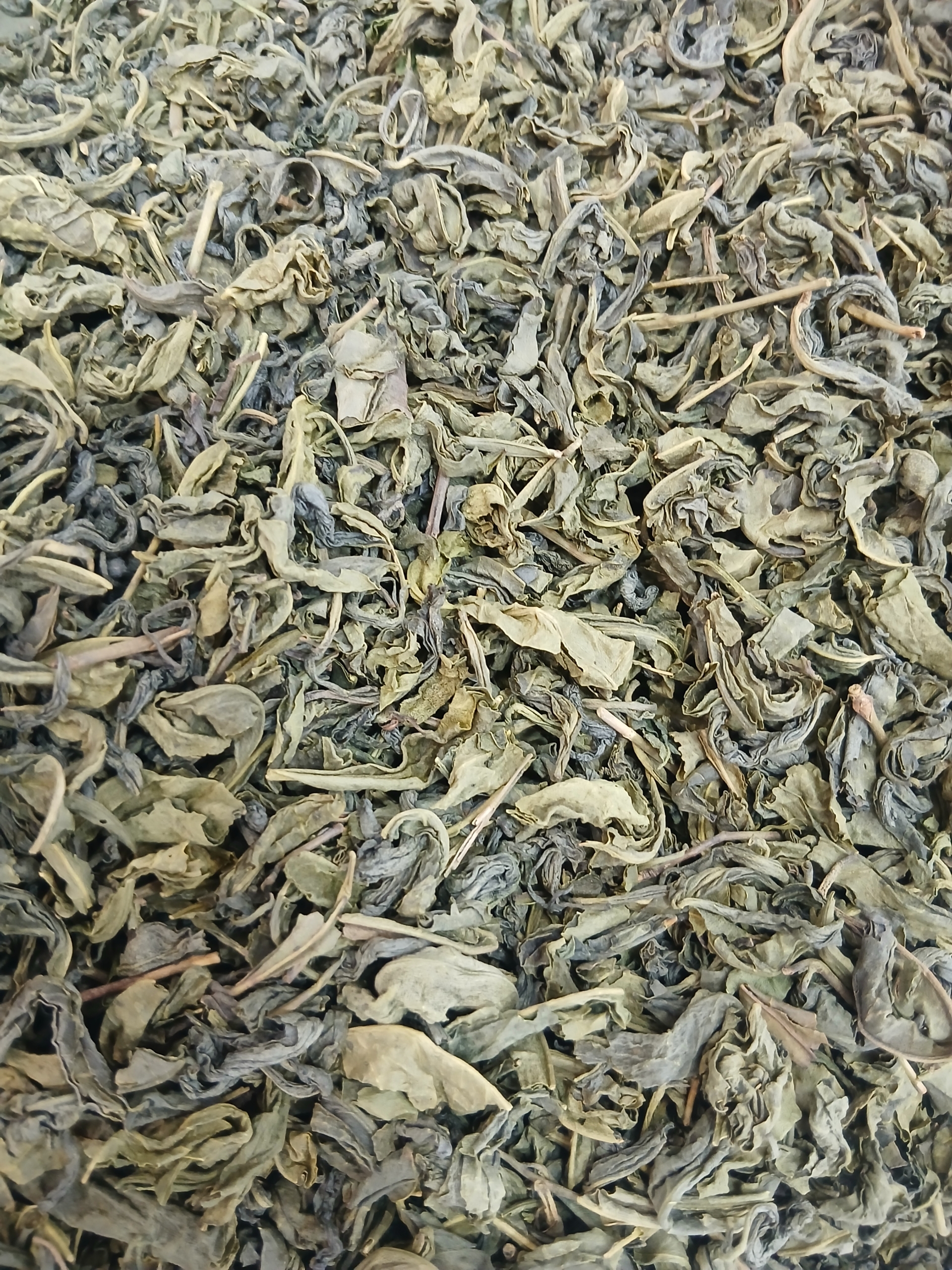 چای سبز قلم لاهیجان زرین (بهاره و طبیعی) - تصویر 2